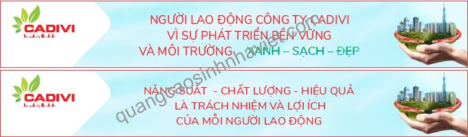 Mẫu bannẻ sự kiện công ty CADIVI Đồng Nai